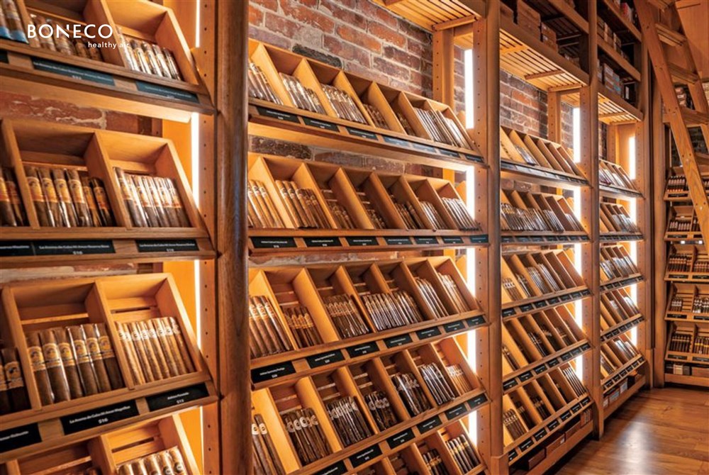 Độ ẩm lý tưởng trong phòng cigar và giải pháp với máy tạo ẩm BONECO