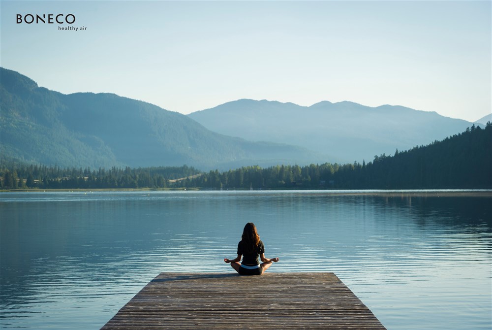 Từ biệt thự xa hoa đến hơi thở trong lành: xu hướng sống wellness lên ngôi