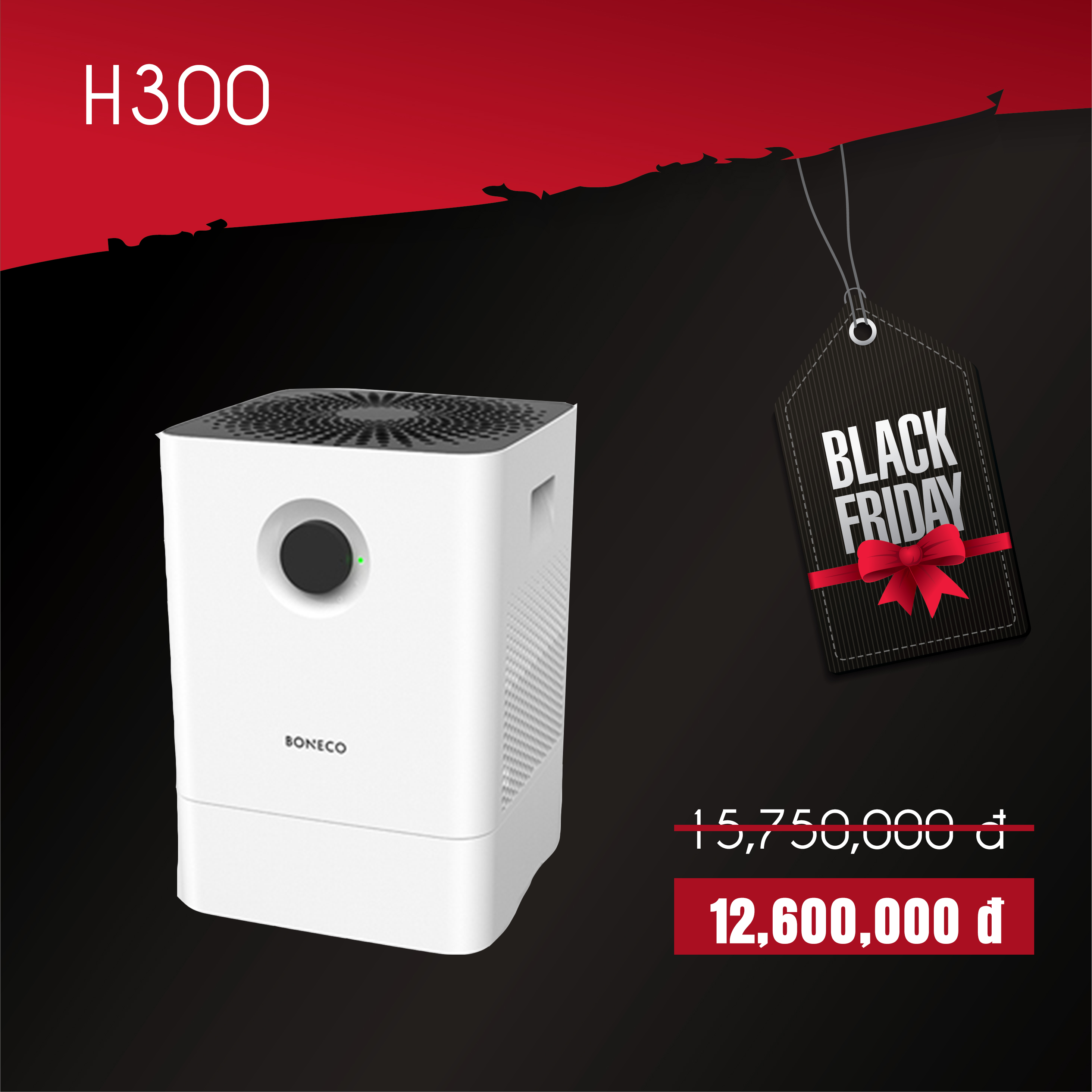 h300