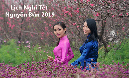 Thông Báo Lịch Nghỉ Tết Nguyên Đán Kỷ Hợi 2019