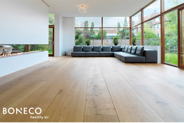Nên dùng sàn gỗ hoặc gạch để giảm ô nhiễm không khí trong nhà