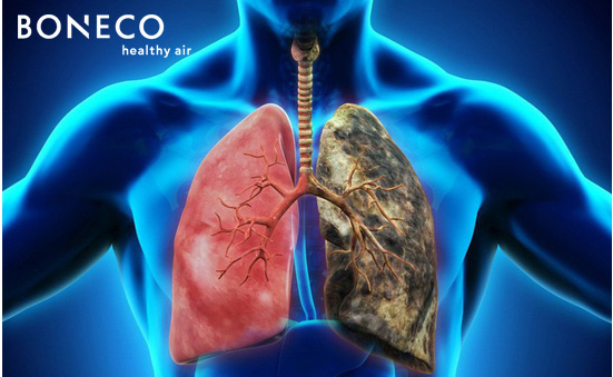 Nguyên nhân gây ung thư phổi không chỉ do thuốc lá
