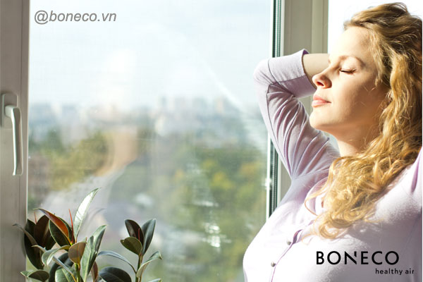 BONECO - Chất lượng không khí sạch hoàn hảo cho gia đình
