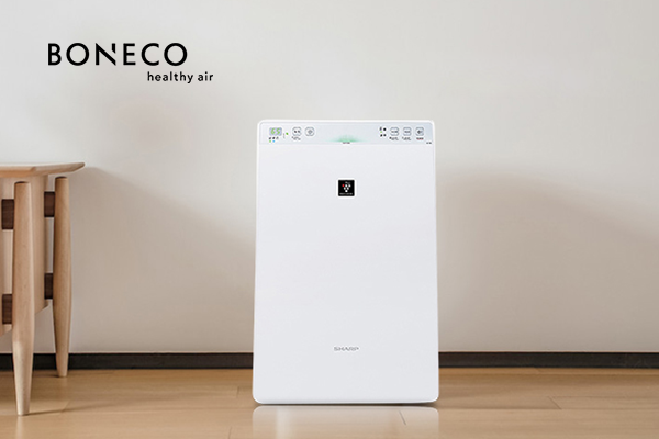 top 10 máy lọc không khí kết hợp tạo độ ẩm